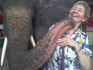 Narelle caught - gets kissed by an elephant