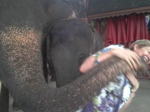 Narelle caught unawares kissed by the elephant