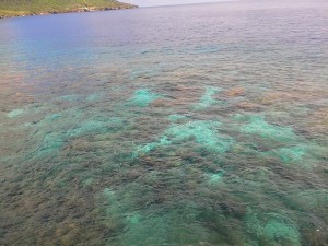 Ethel Beach Reef on Christmas Island